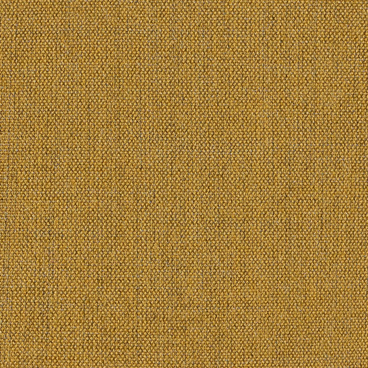 Lemongrass