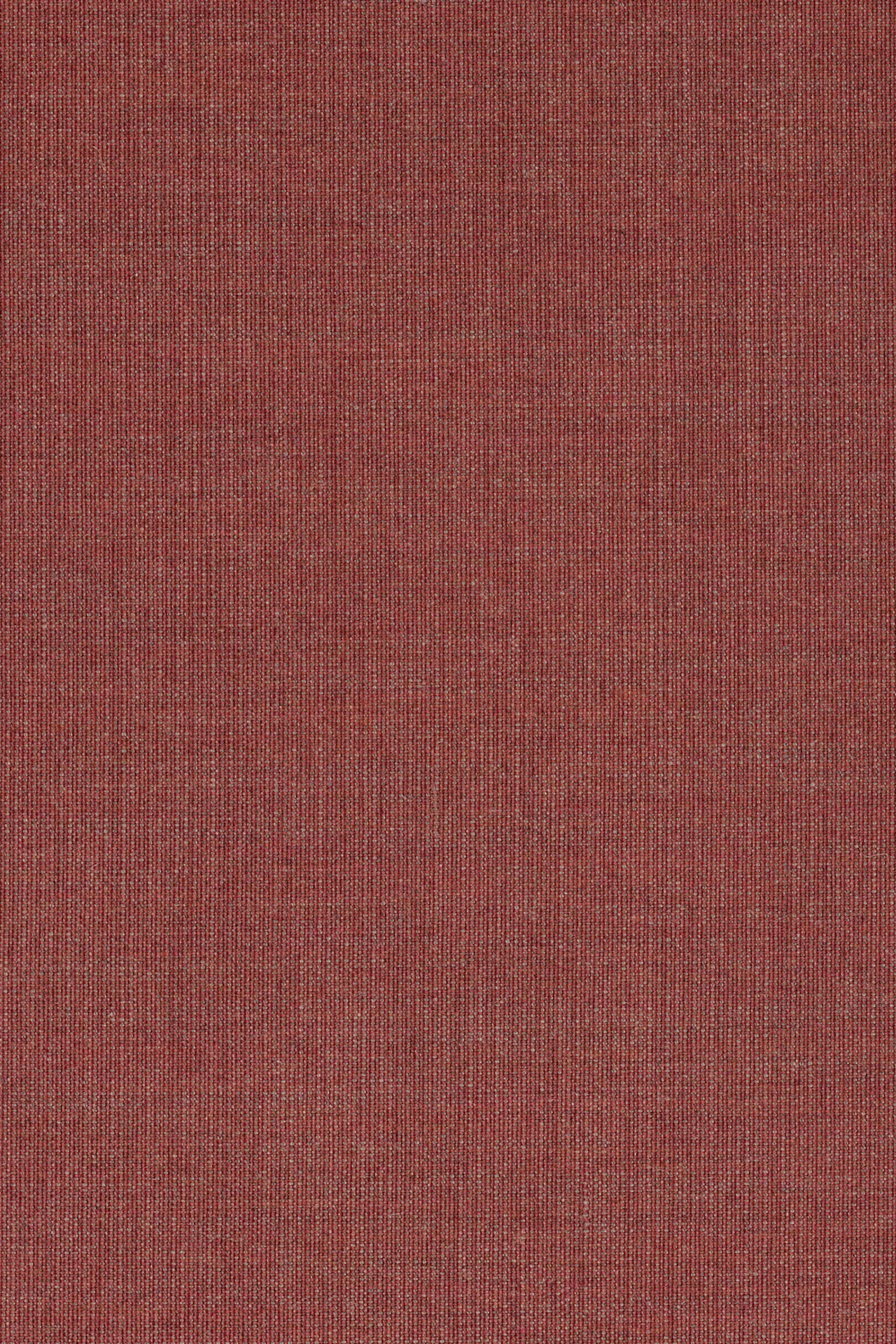 654