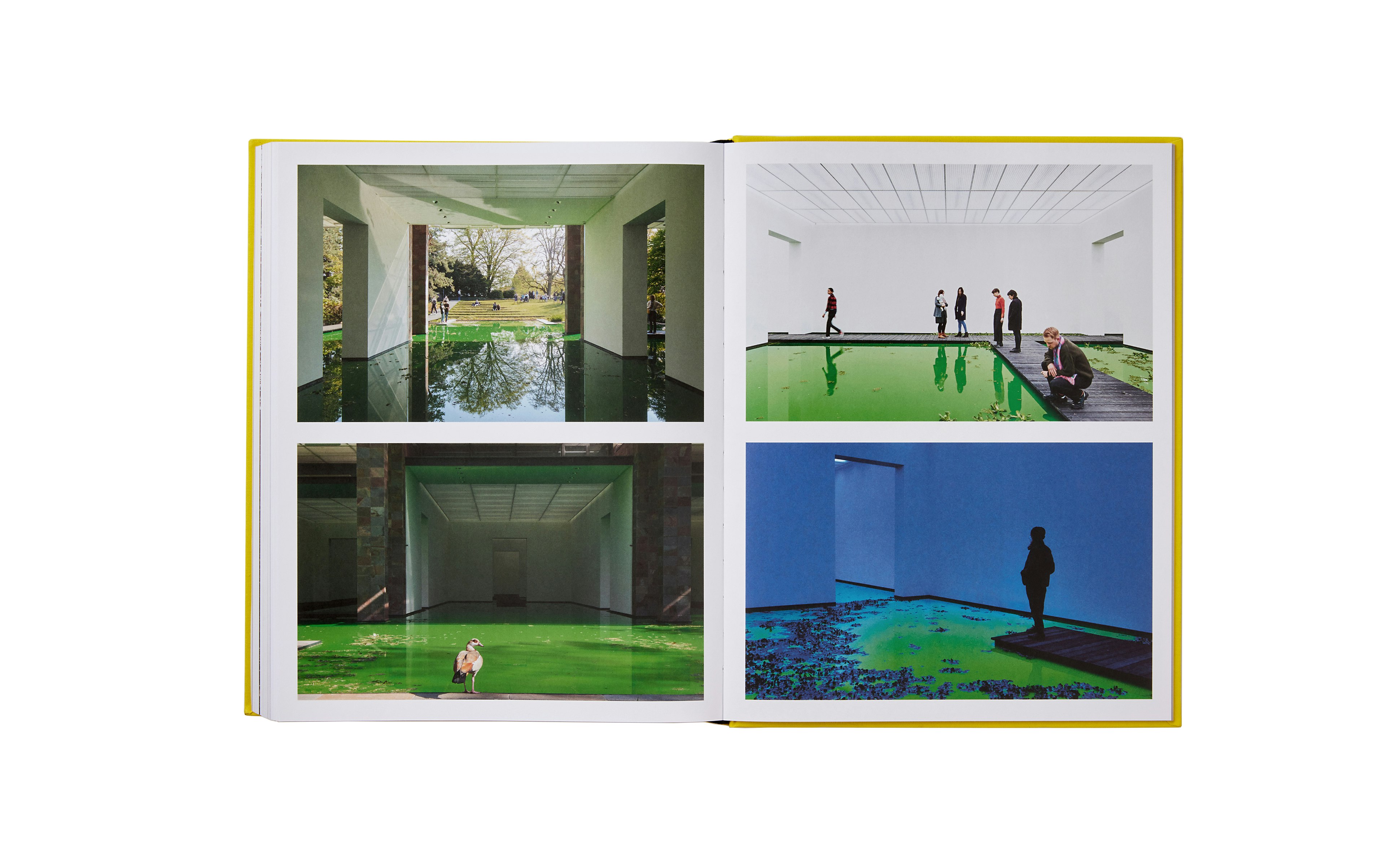 Olafur Eliasson: Experience: Revised and Expanded Edition - Hardcover