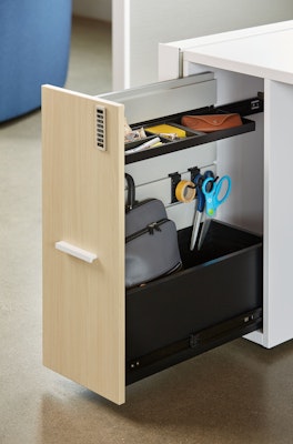 Anchor Storage Dividends Horizon