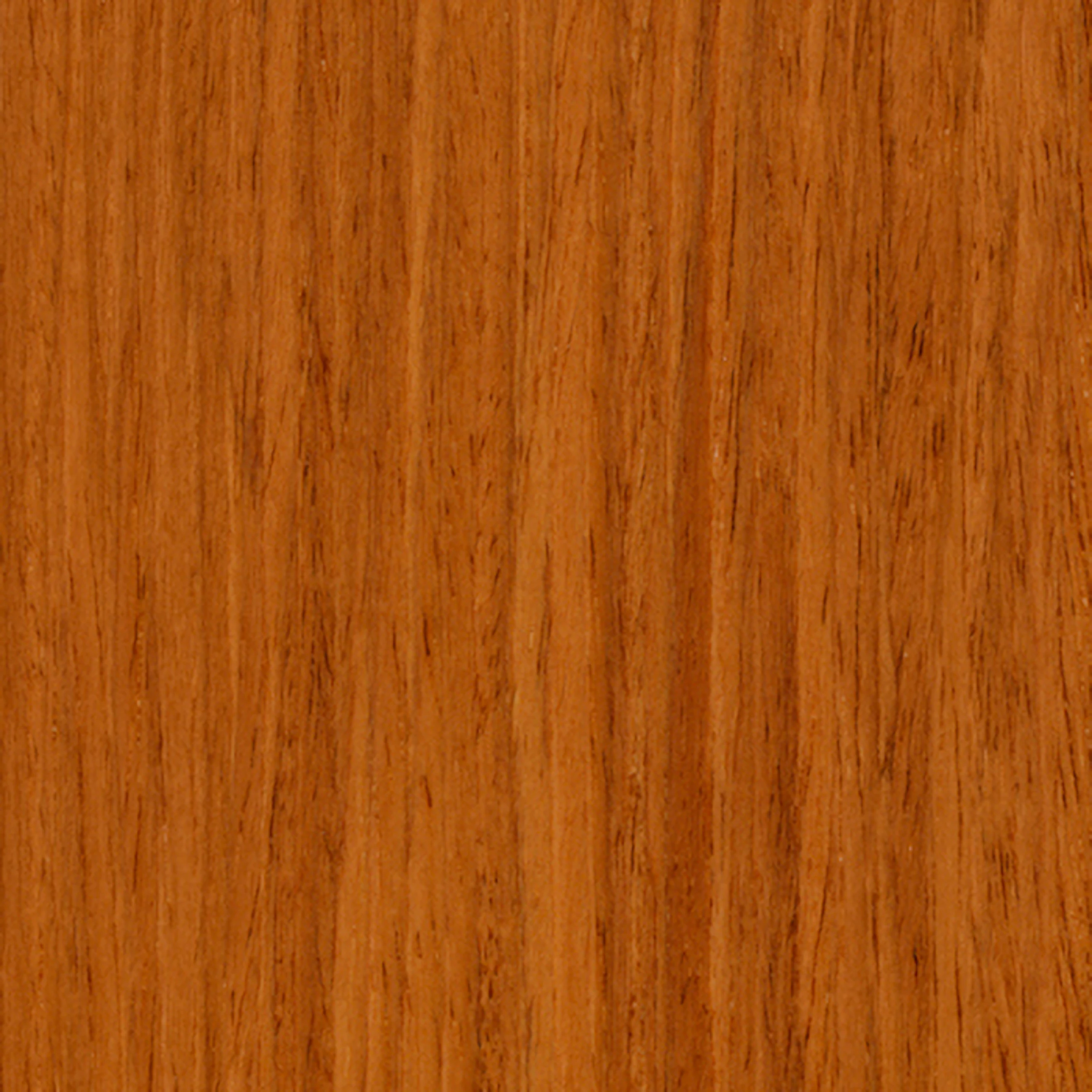 Cherry (V1)