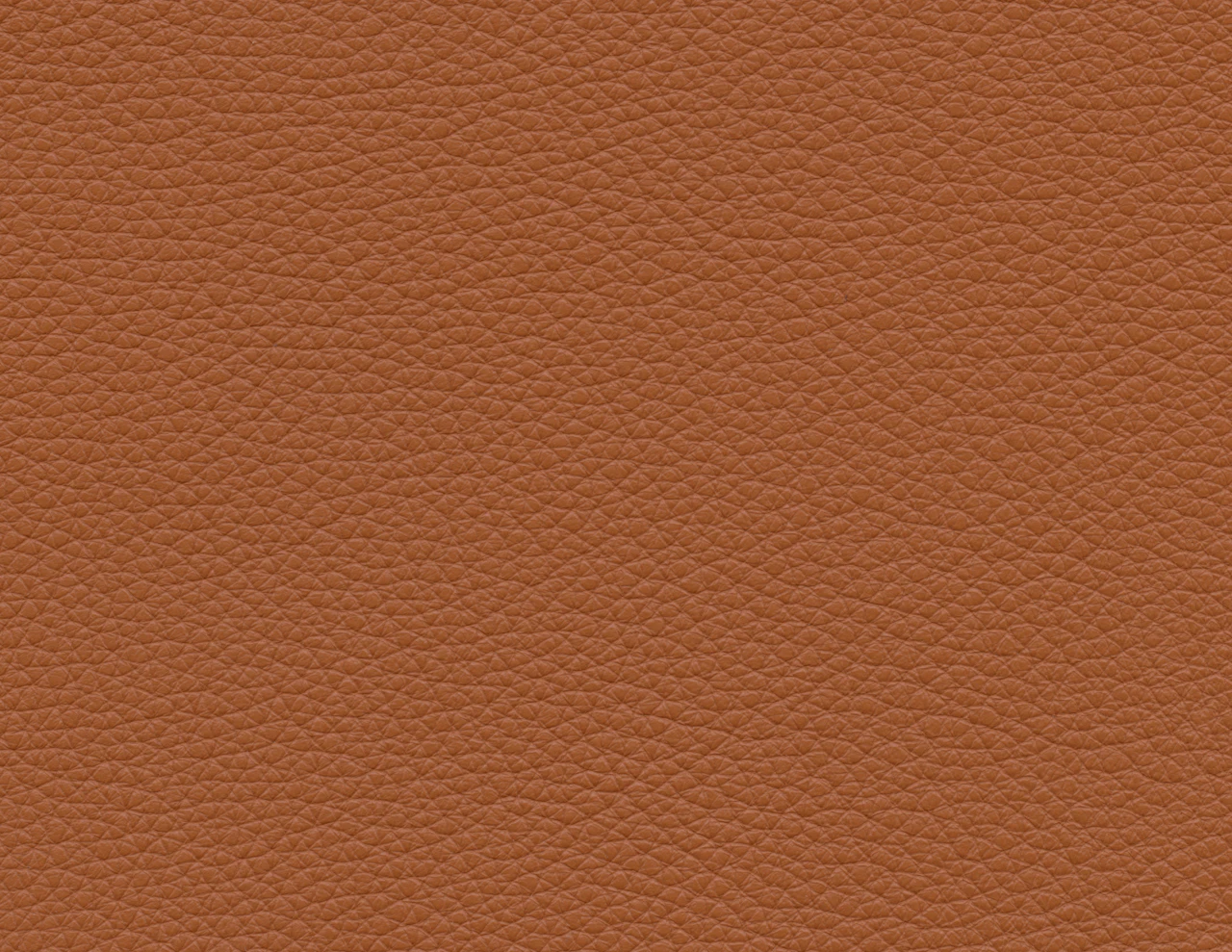 Saddle