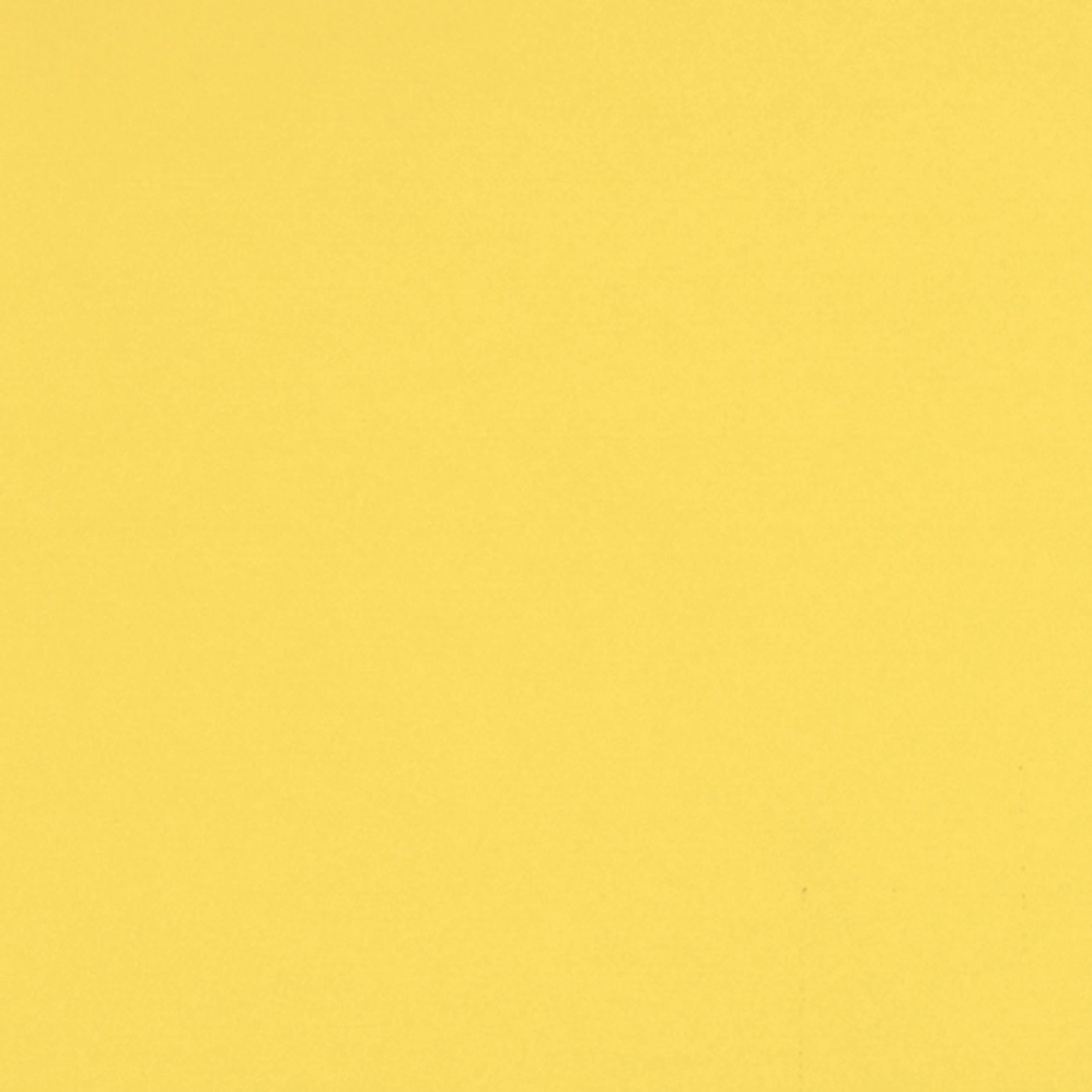 Canary Yellow