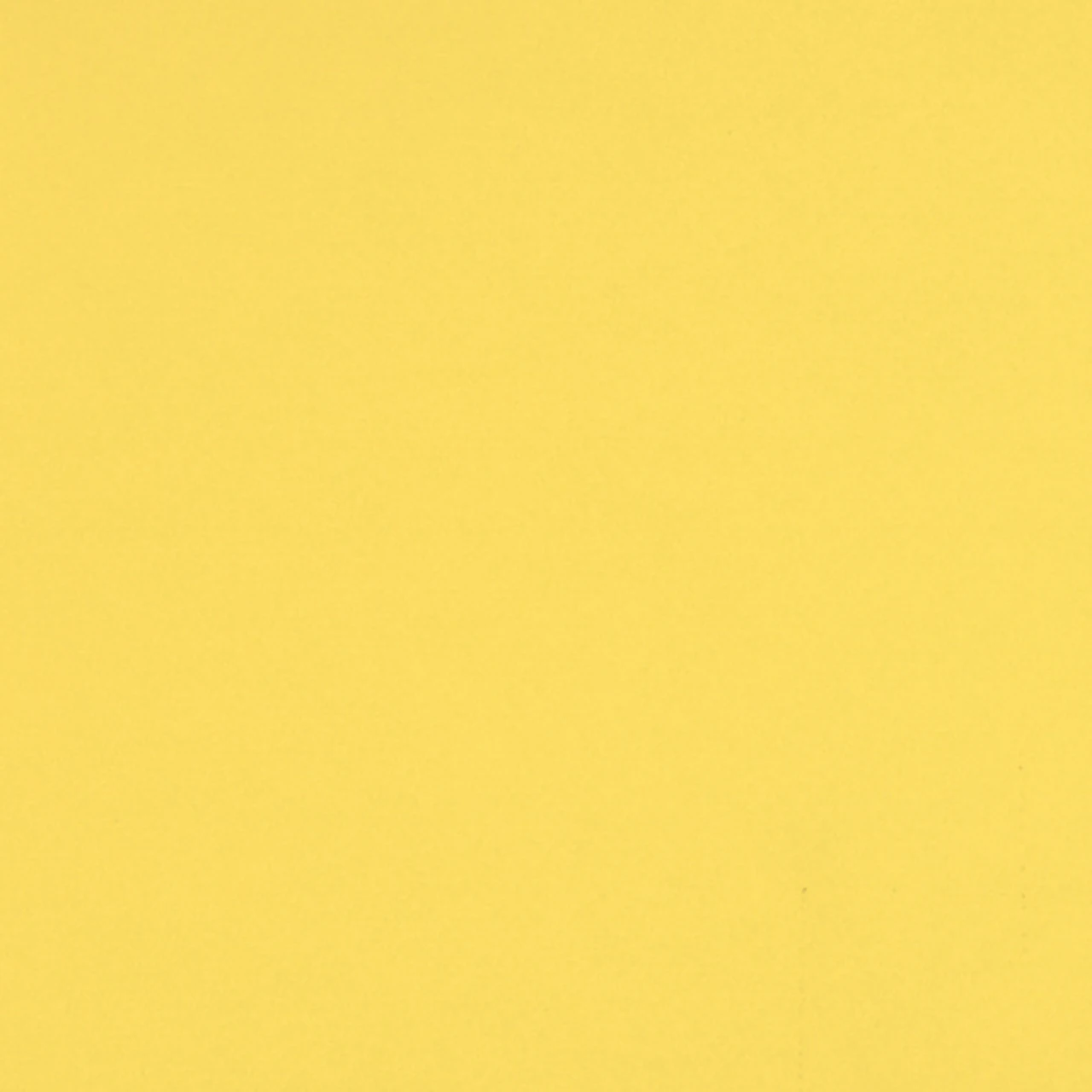 Canary Yellow