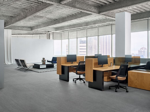 Dividends Skyline System Height-Adjustable Tables Screens Ollo with Knit Back Barcelona Chair D