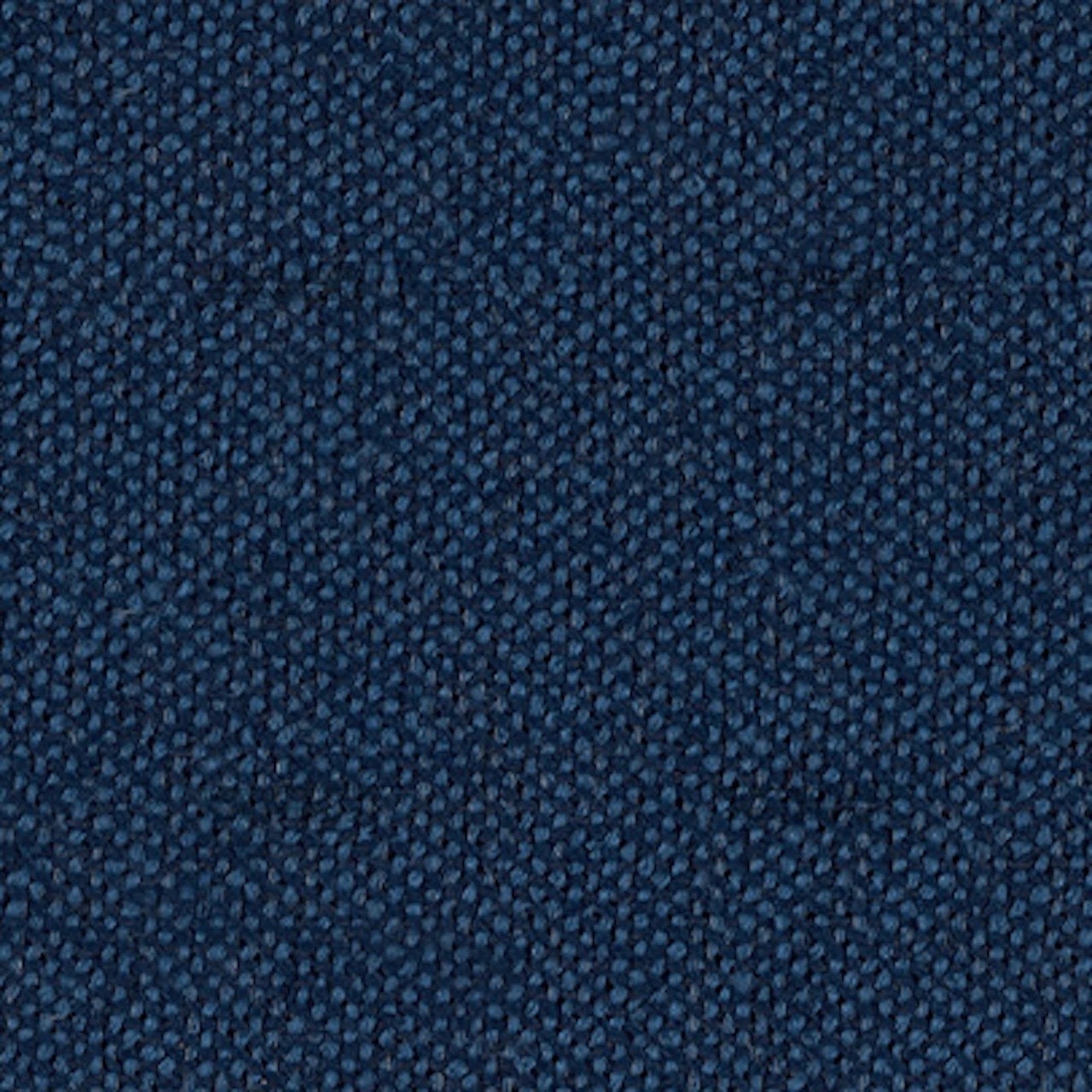 Blue Tide