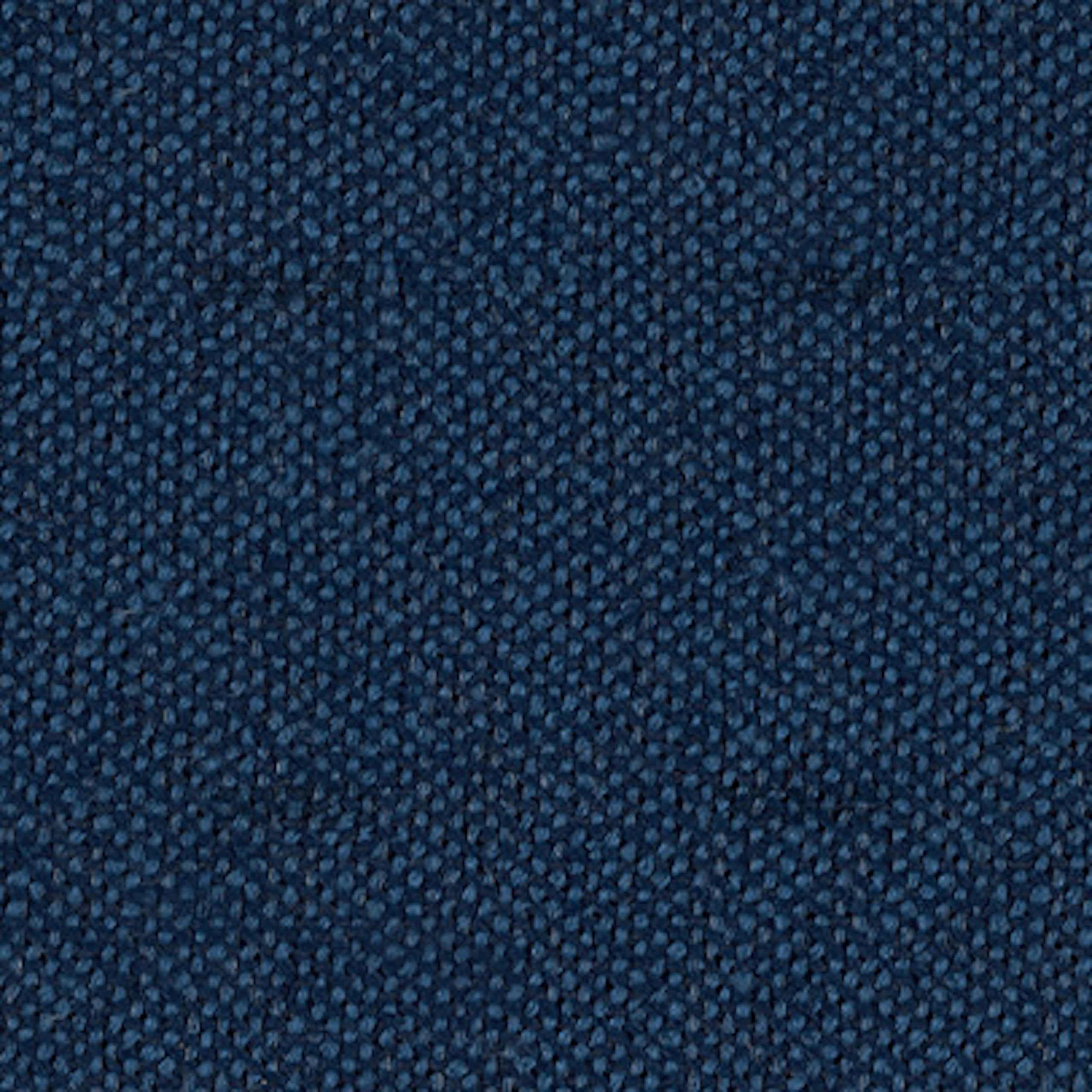 Blue Tide