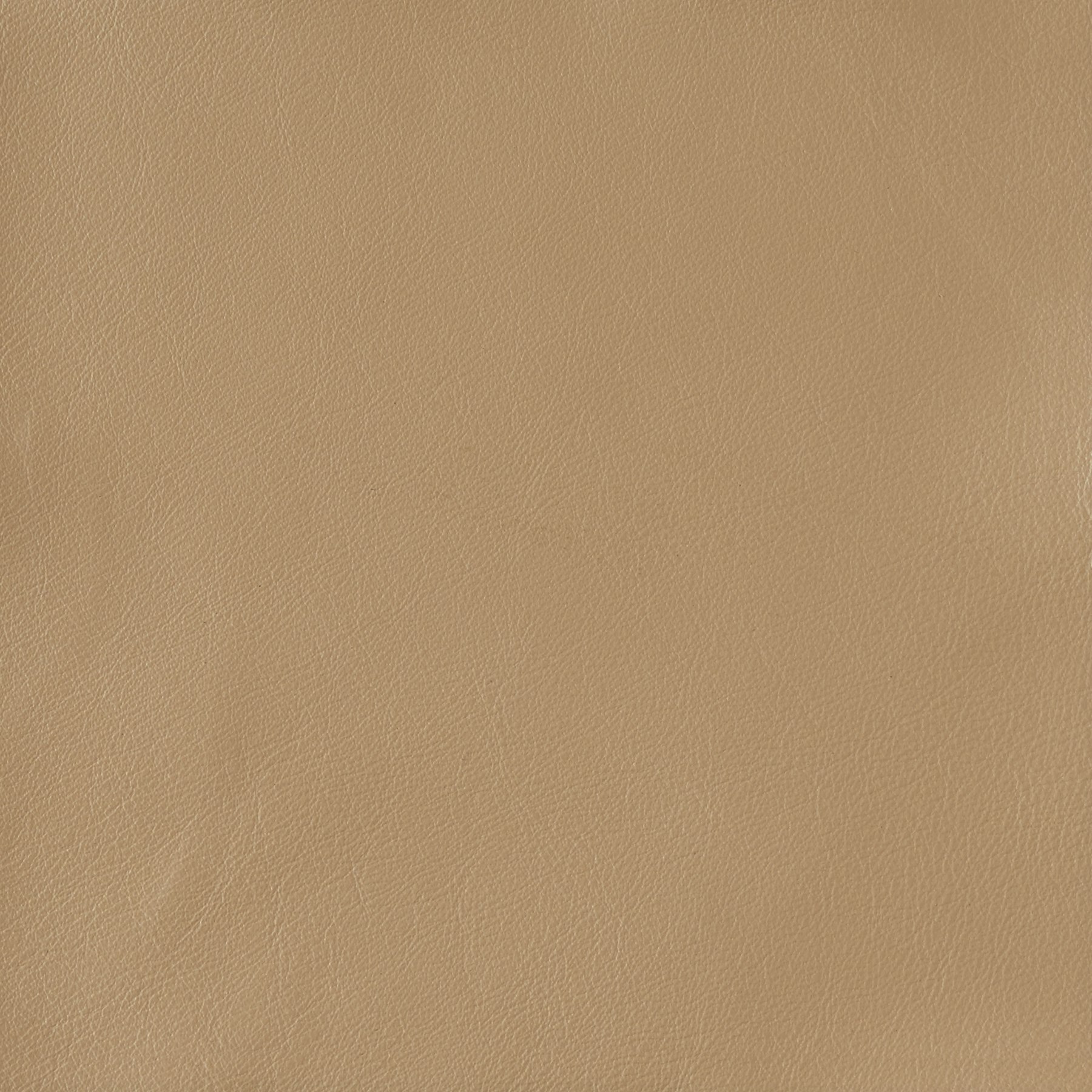 Taupe, 5-594