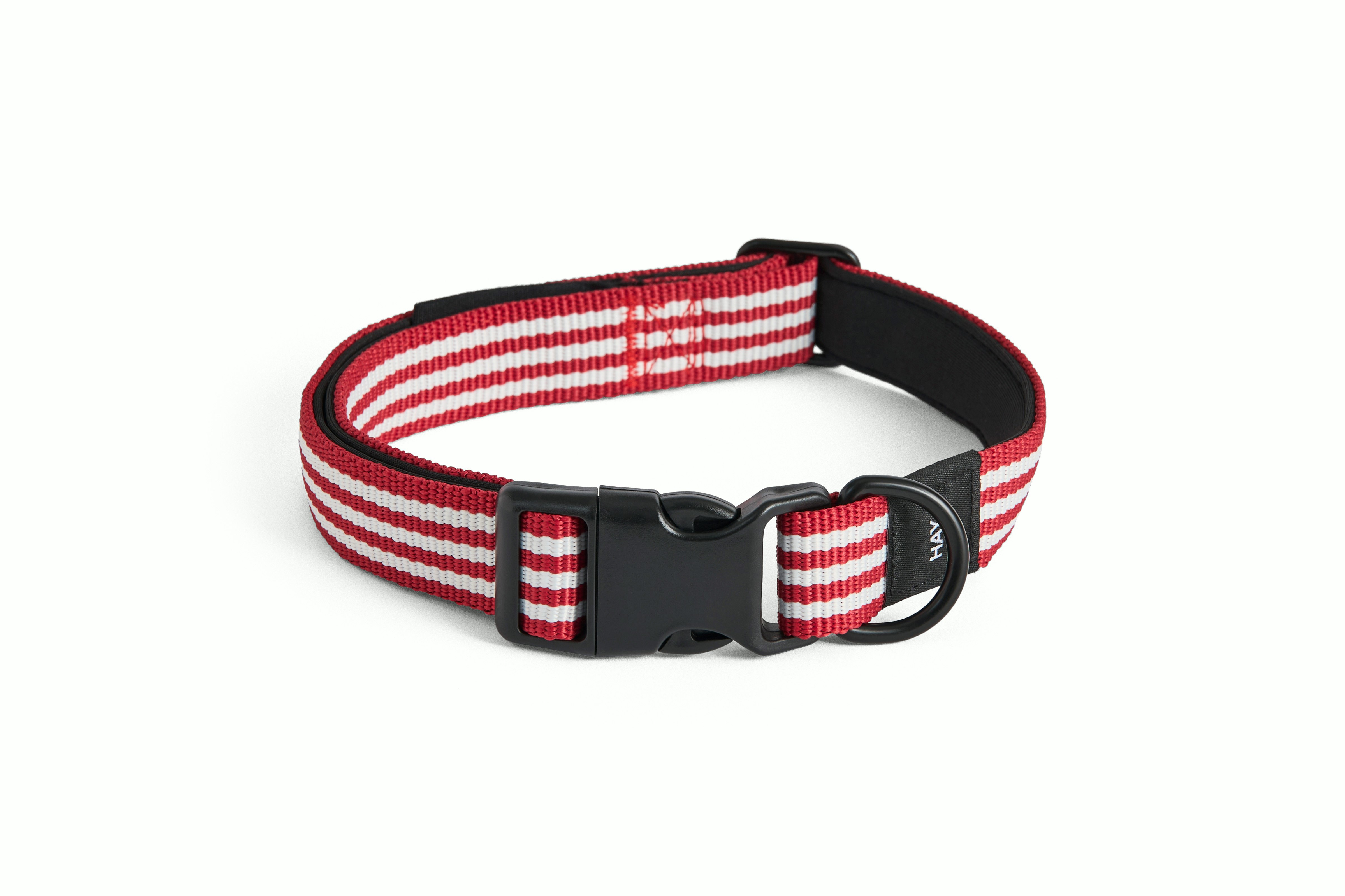 Dog Collar, Medium / Large