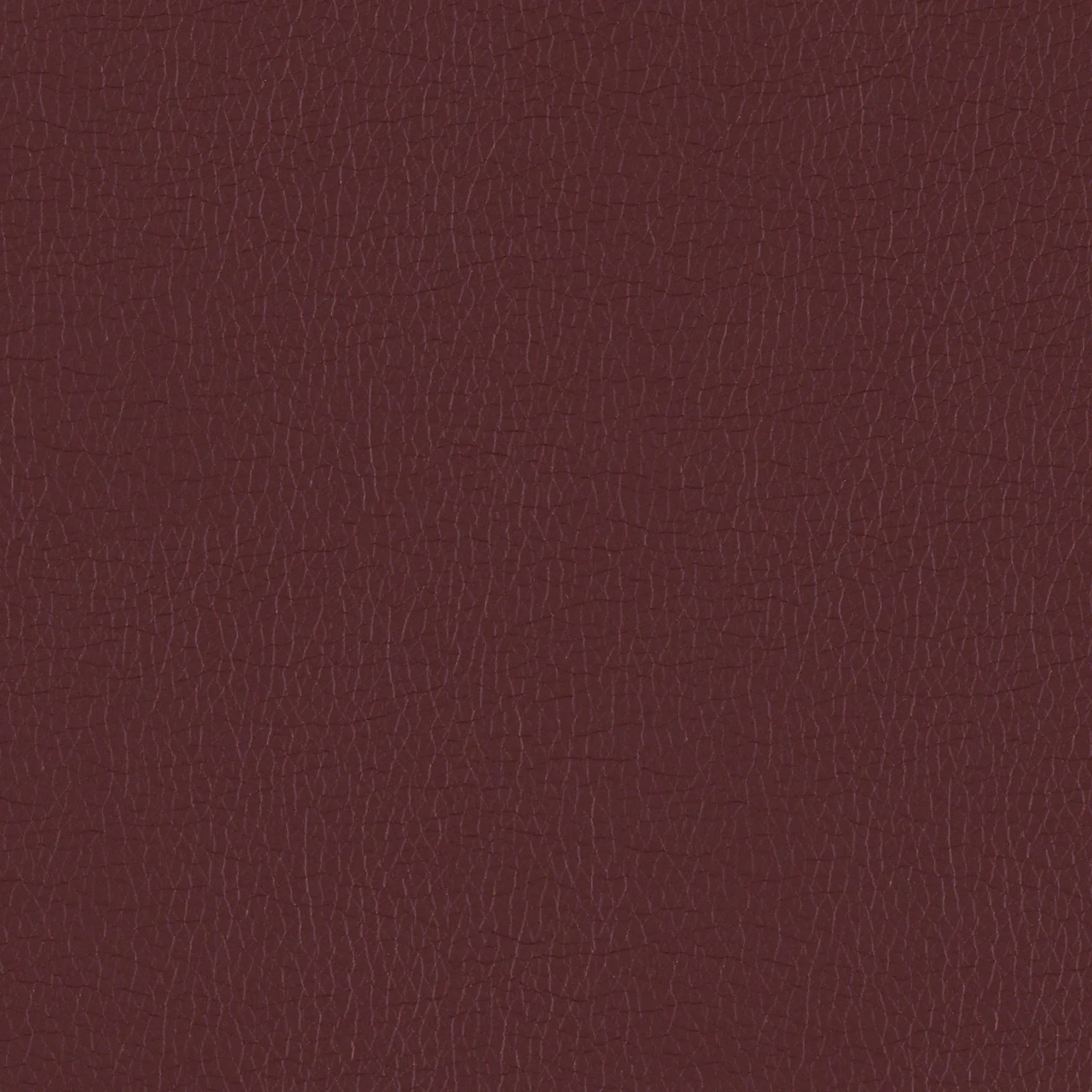 Cordovan