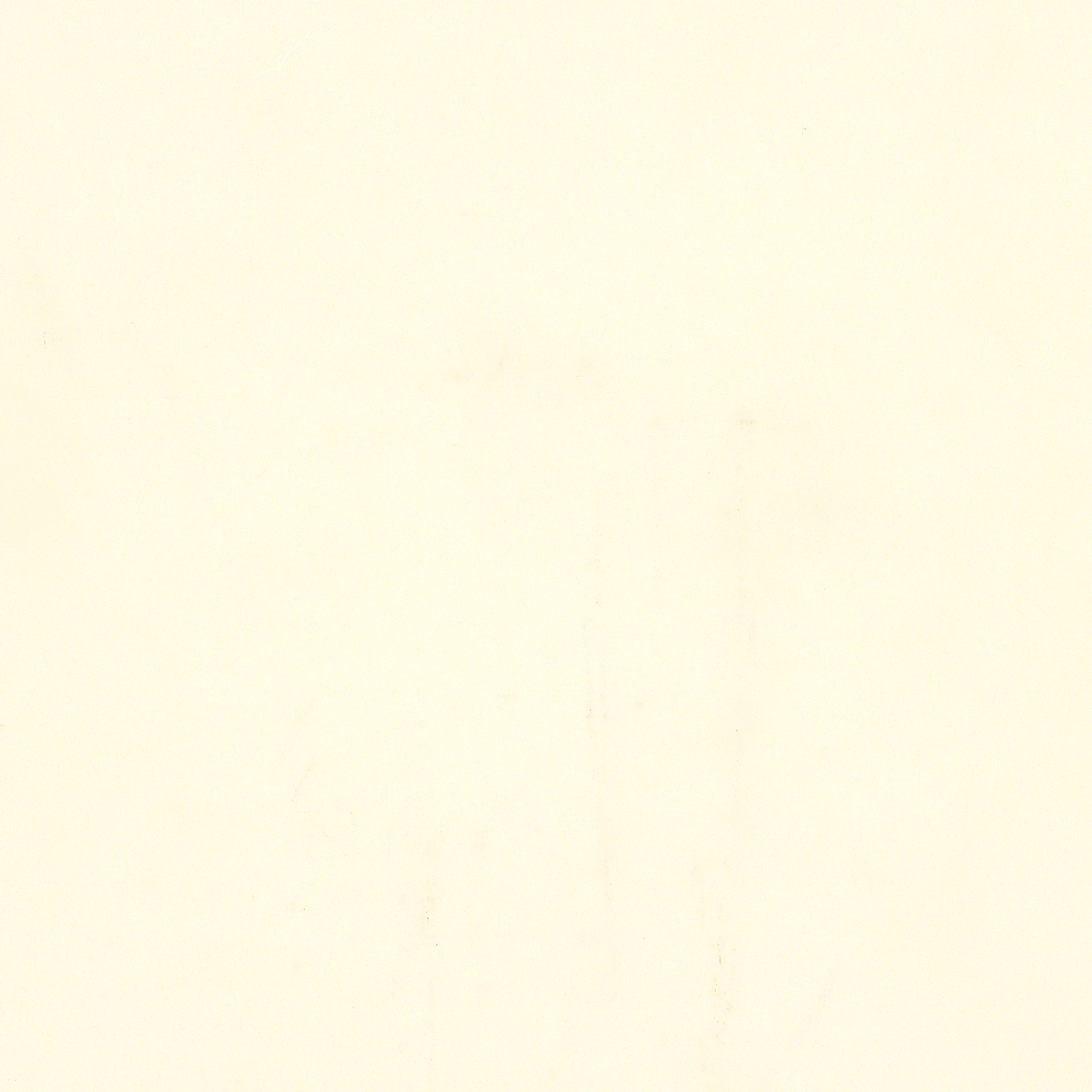 Bisque