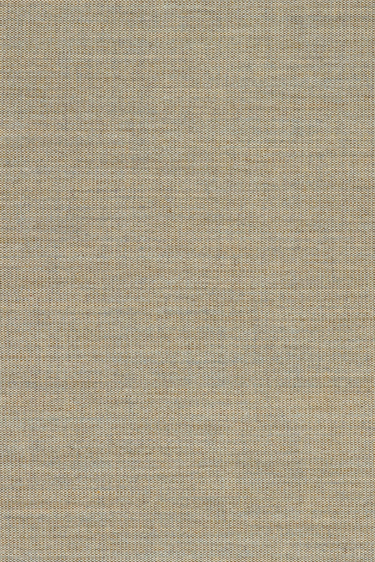 244