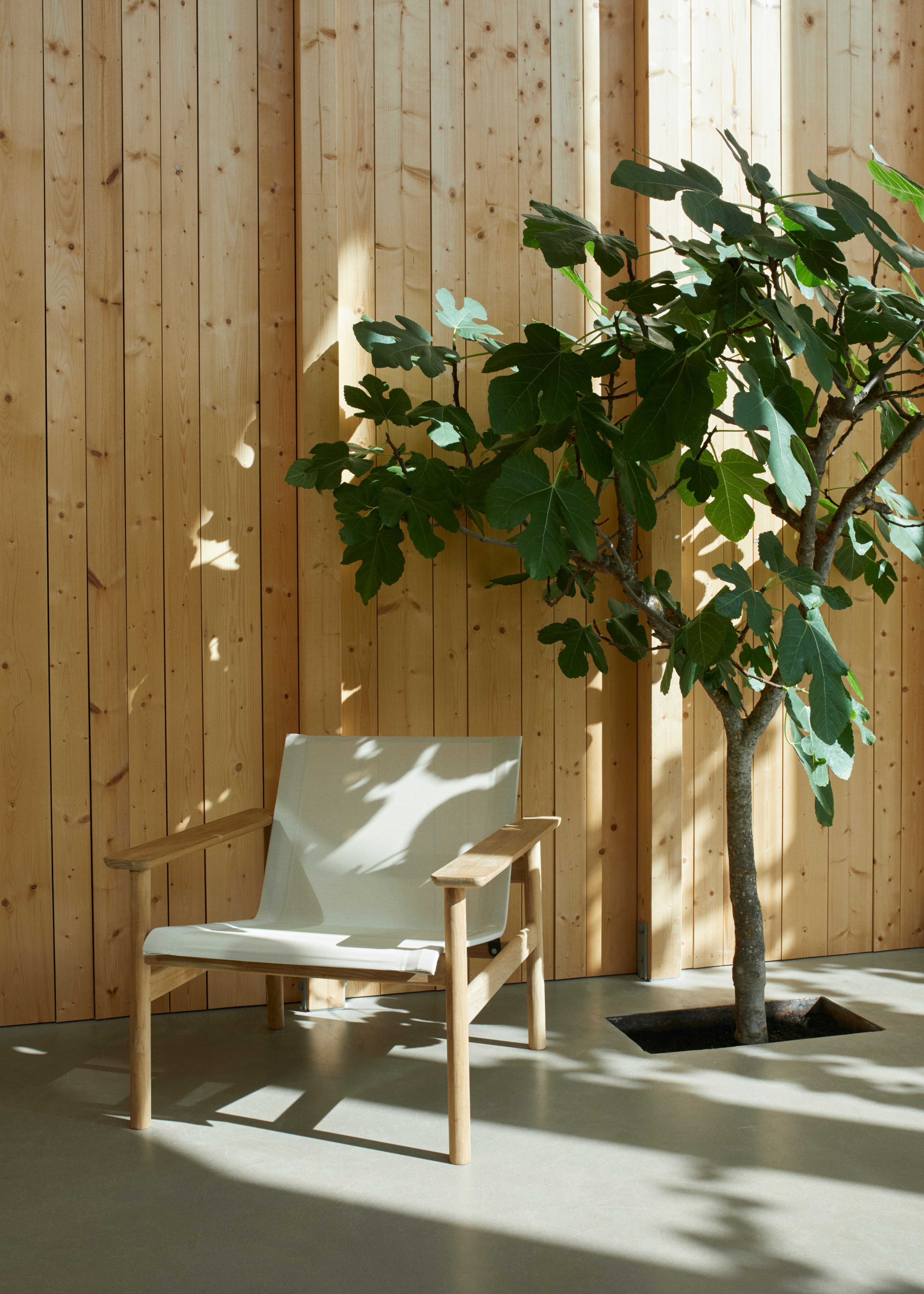 Pelagus Lounge Chair