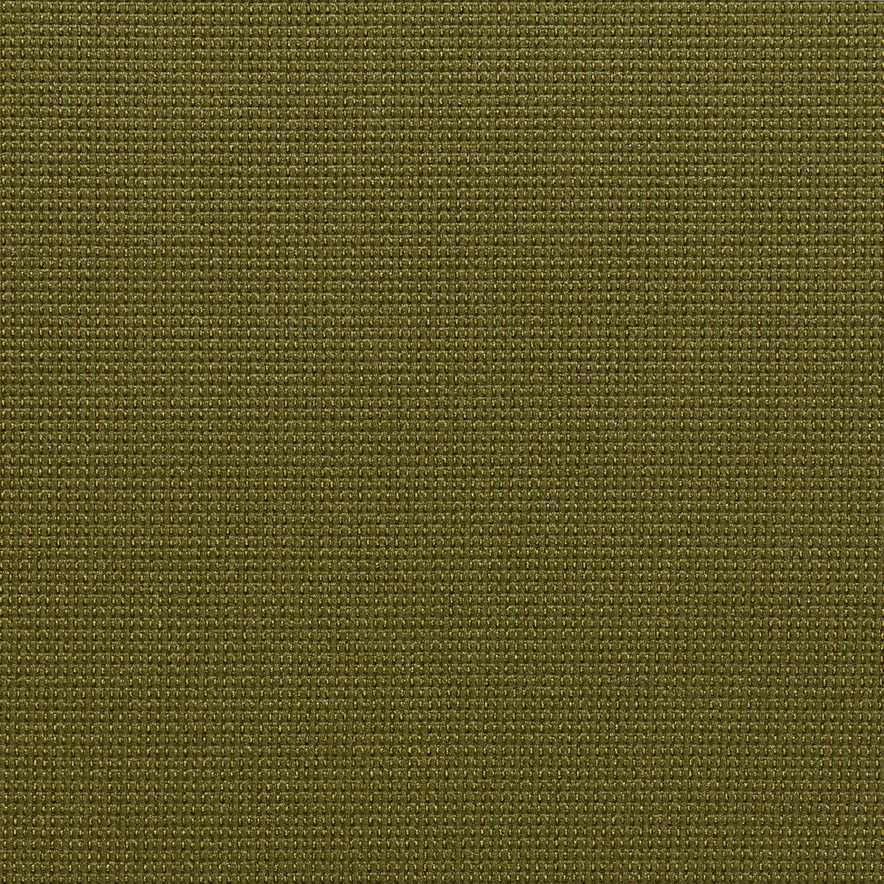 Chive
