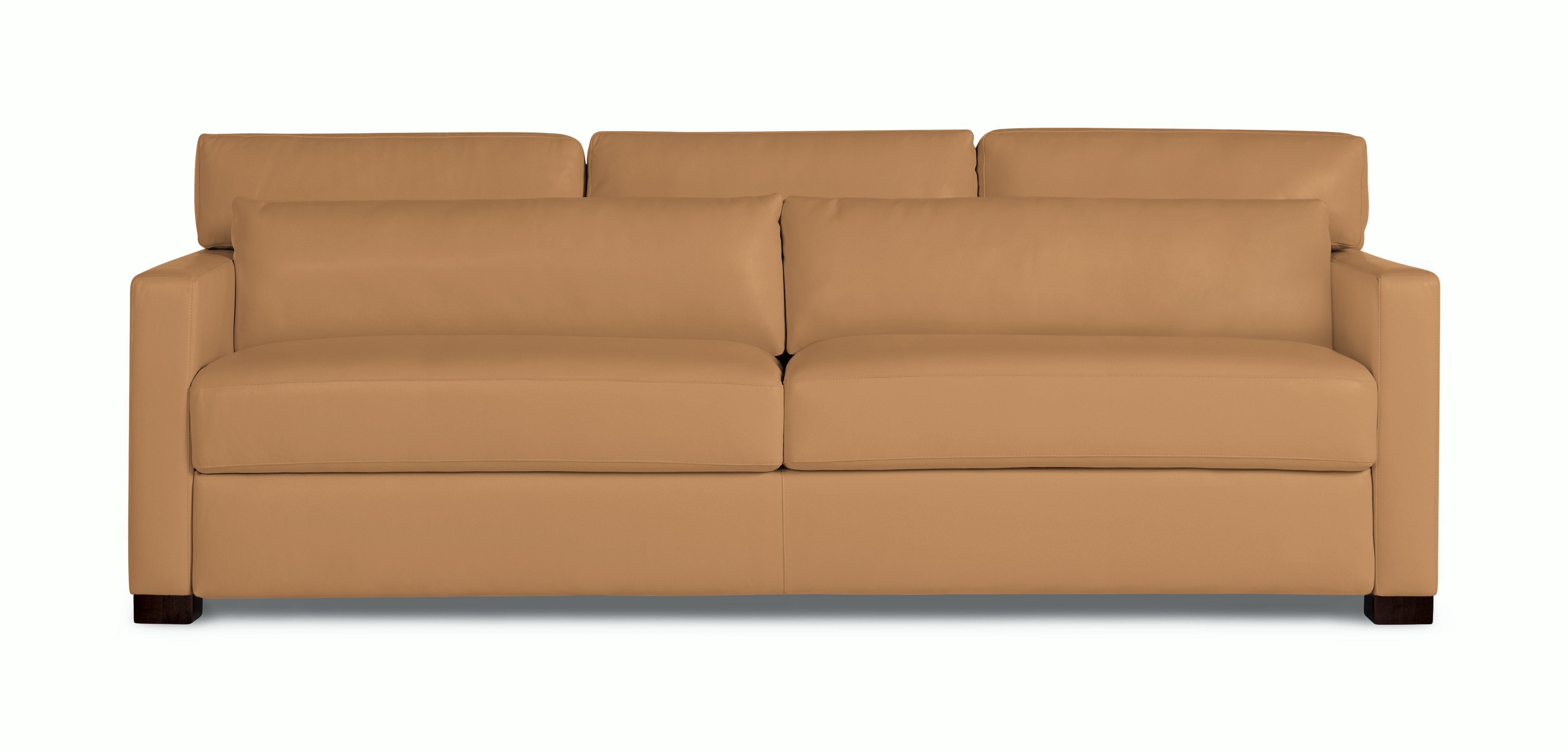 Vesper Sleeper Sofa