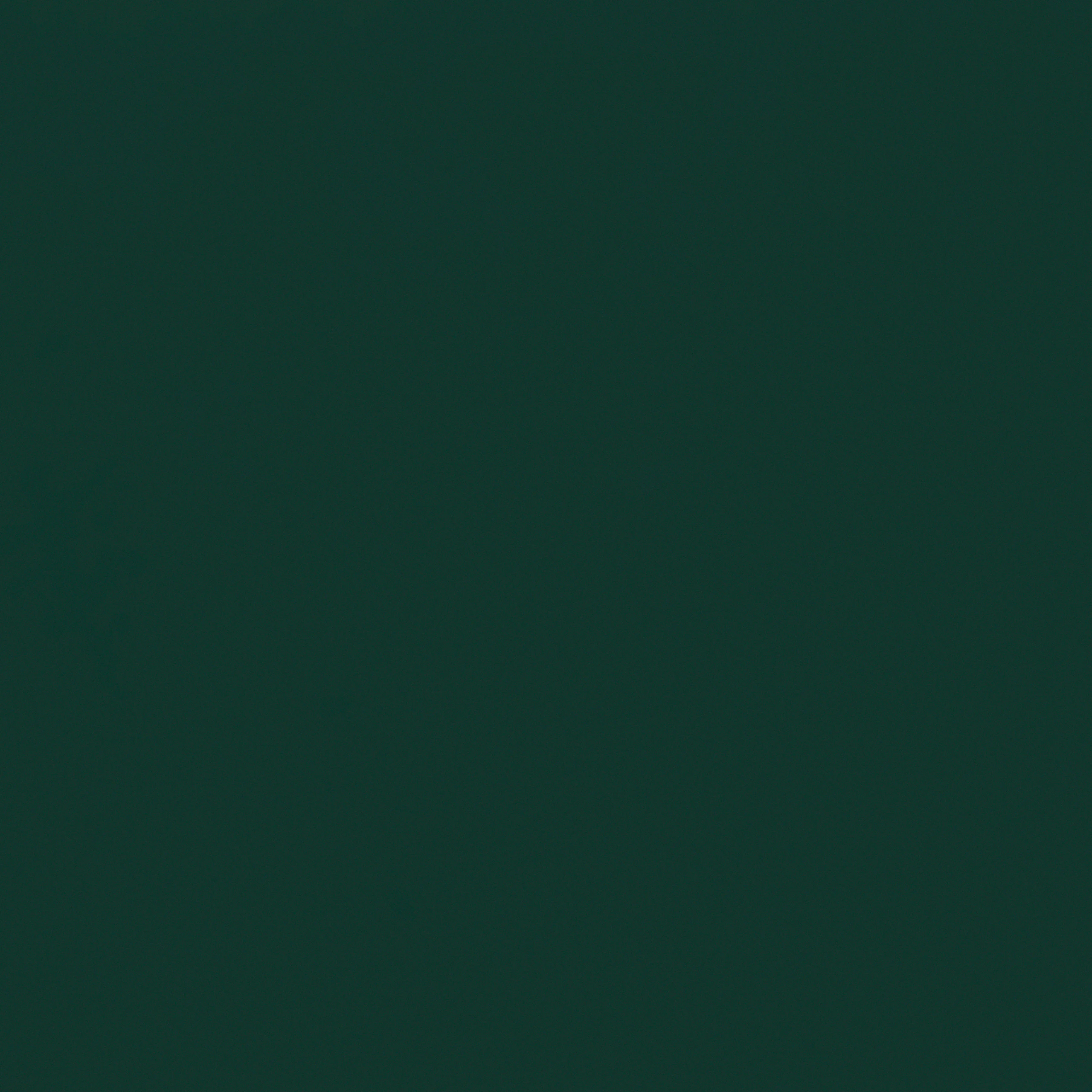 Evergreen