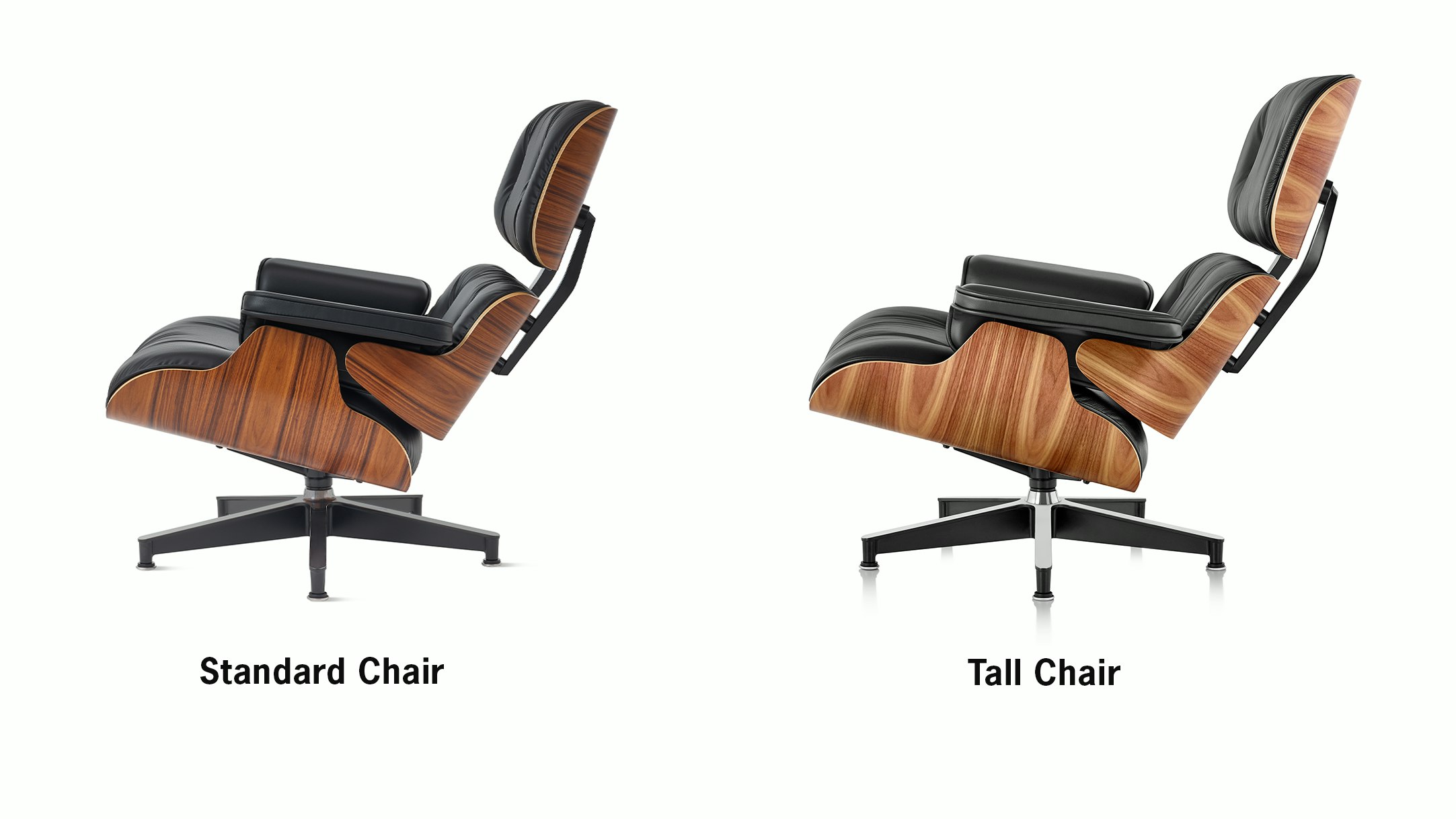 Eames Lounge Chair and Ottoman