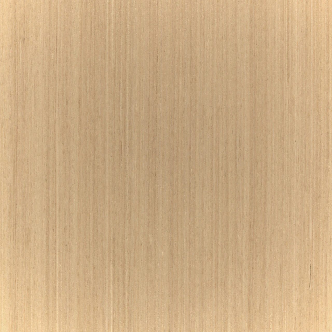 RecoGrain Natural Quarter Cut Rima Oak