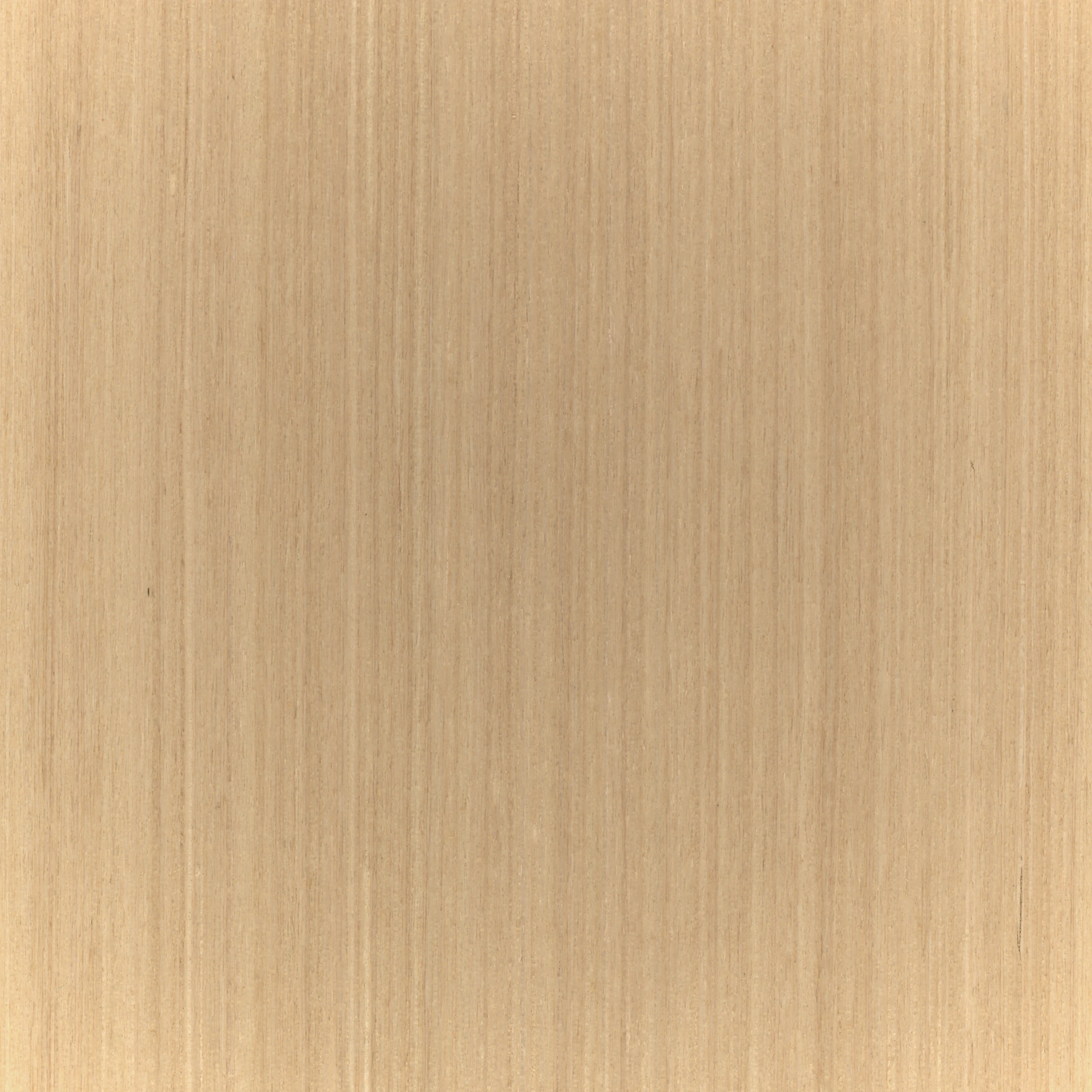 RecoGrain Natural Quarter Cut Rima Oak