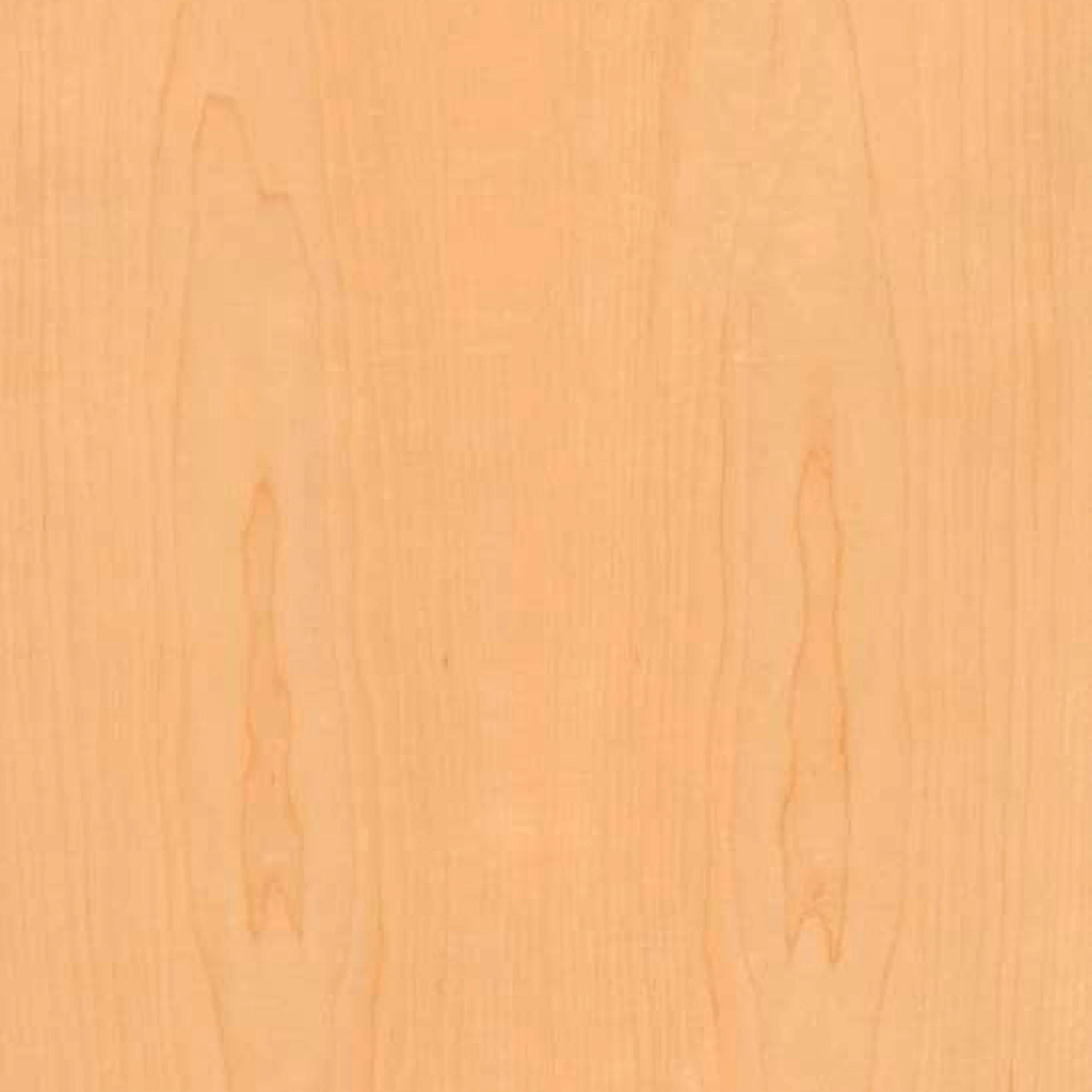 Clear Maple