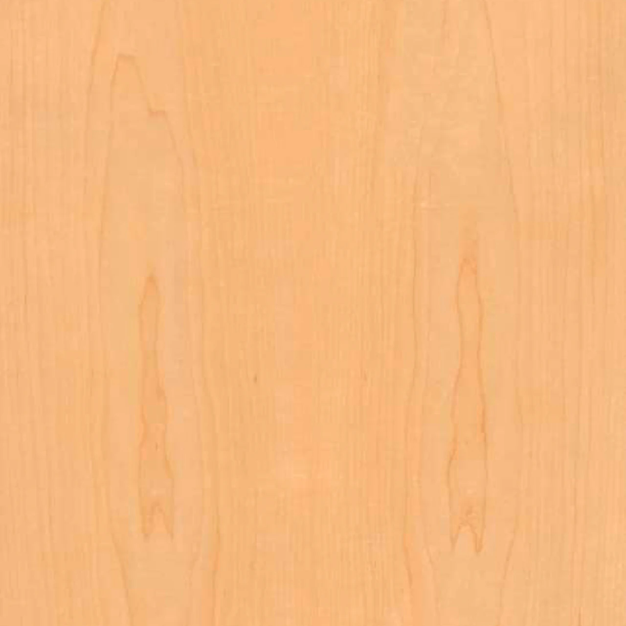 Clear Maple