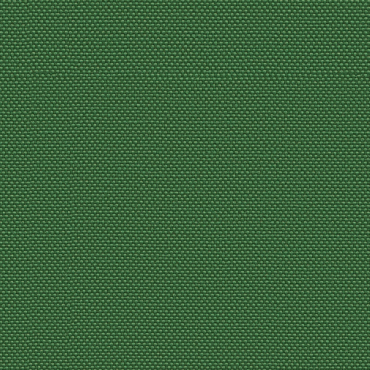 Algae