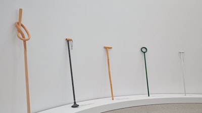 Five walking sticks and canes leaning against a white wall at the walking sticks & canes exhibition.