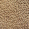 Mustard Seed