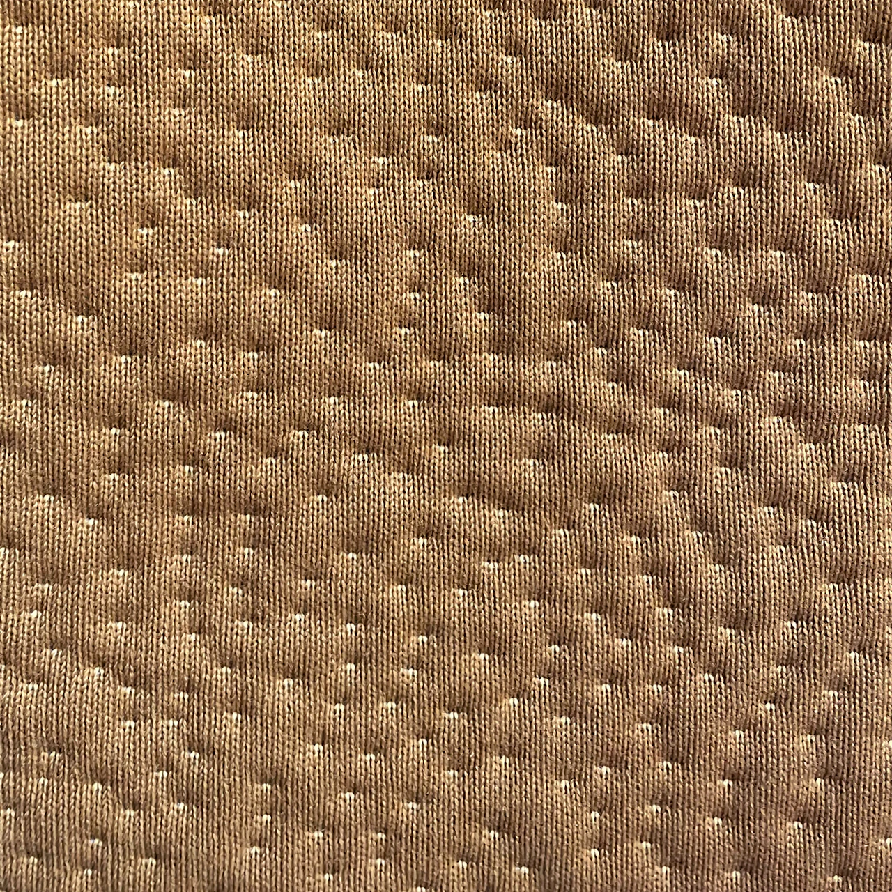 Mustard Seed