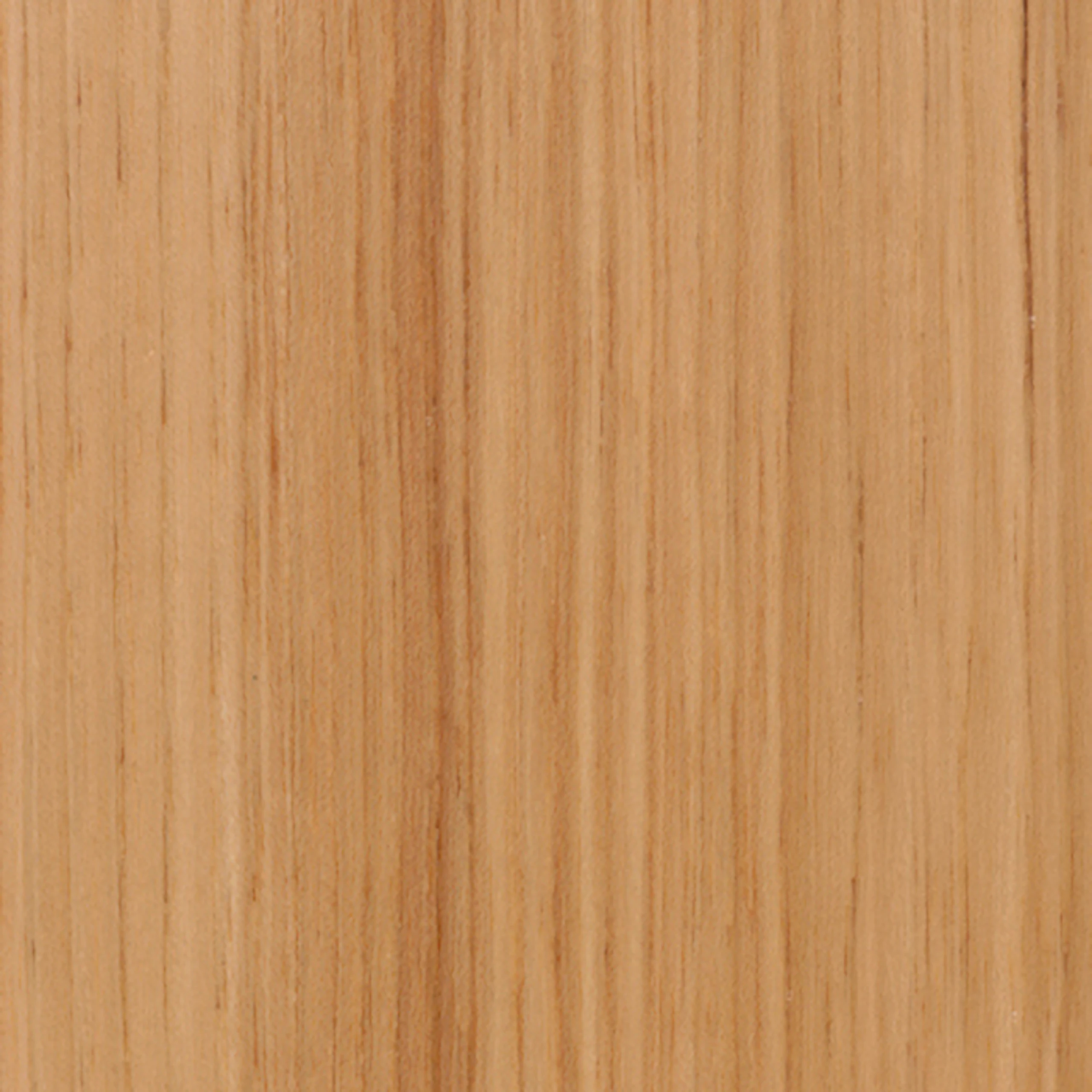 Hickory