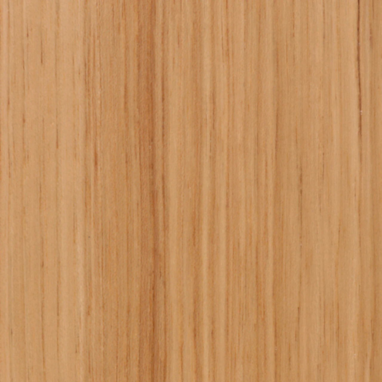 Hickory