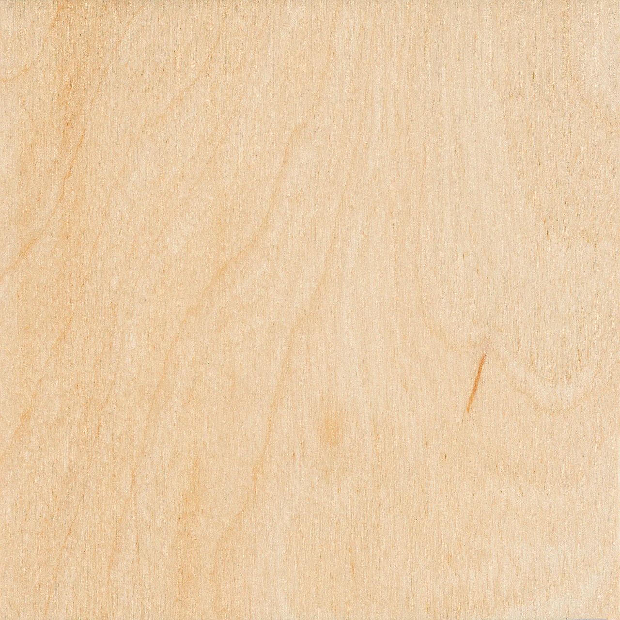Birch Hardwood