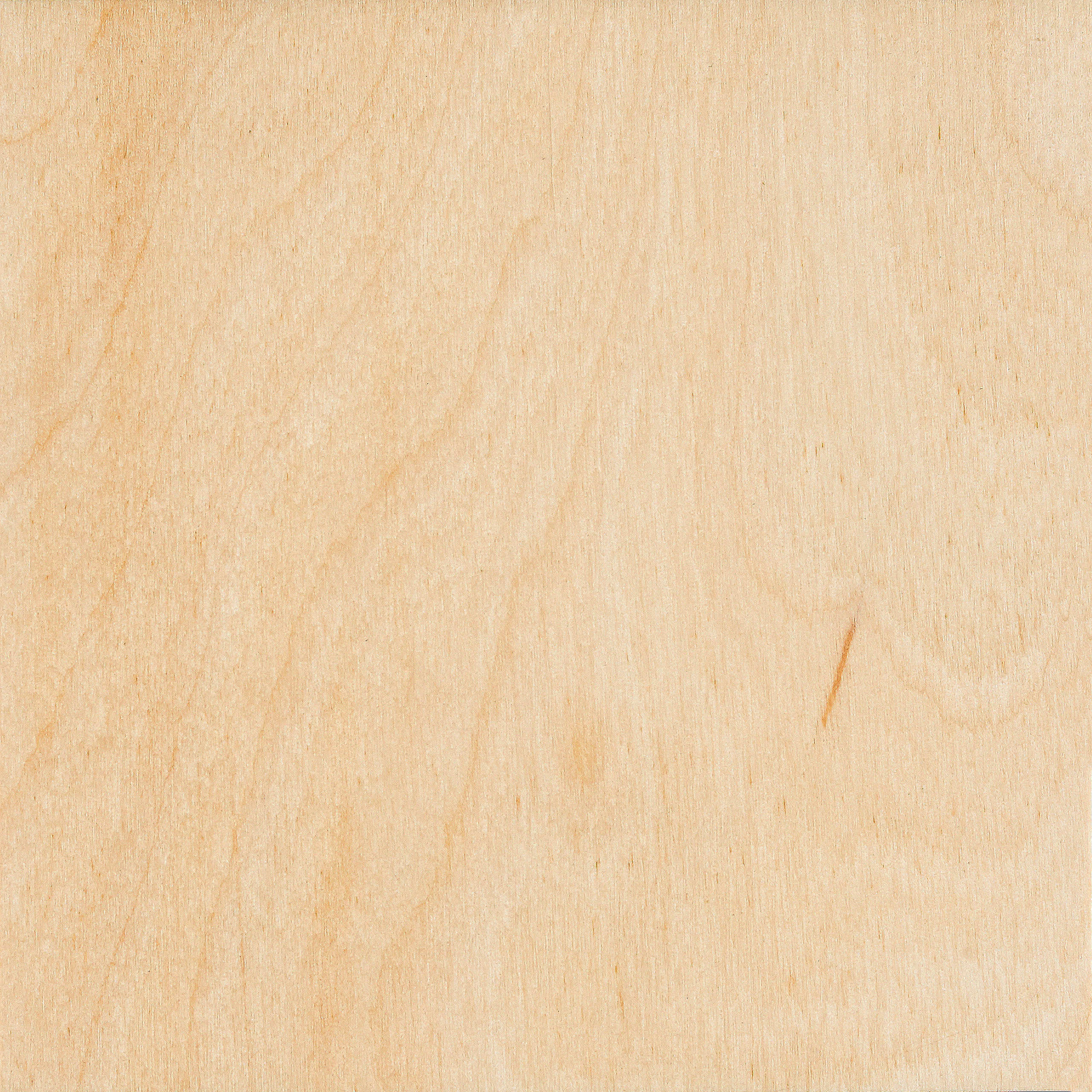 Birch Hardwood