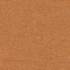 Sahara