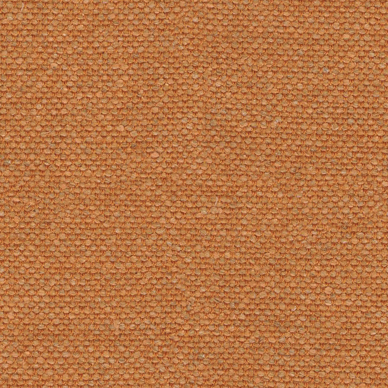 Sahara
