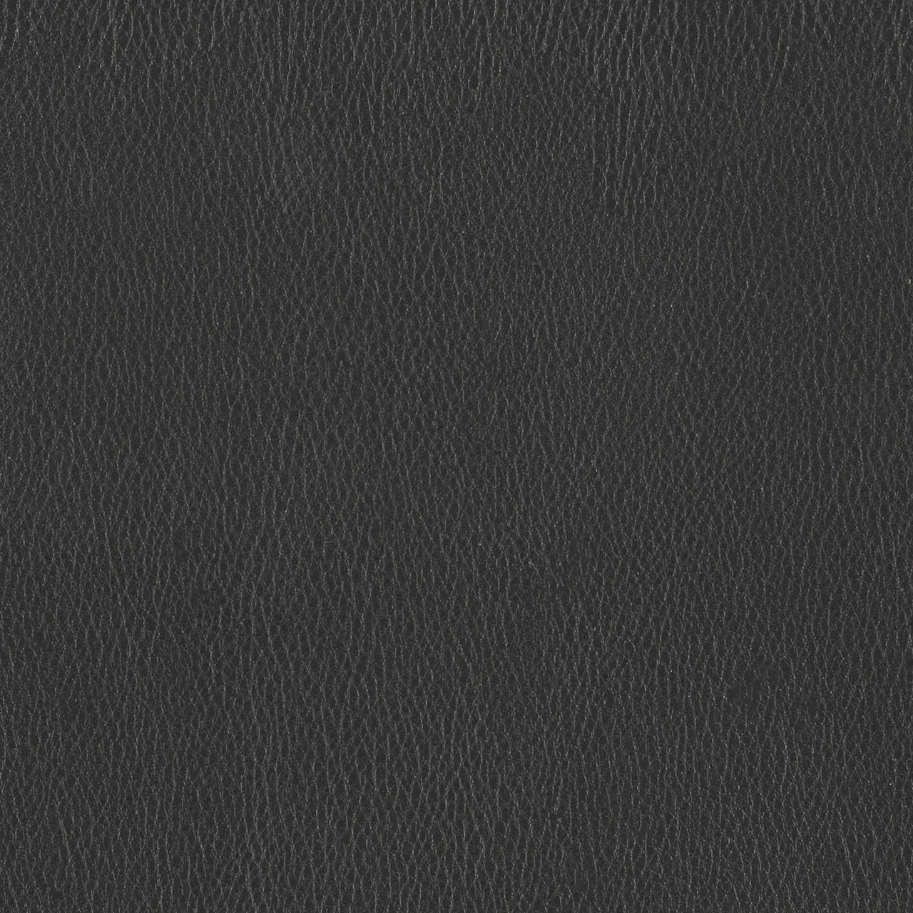 Carbon Dark