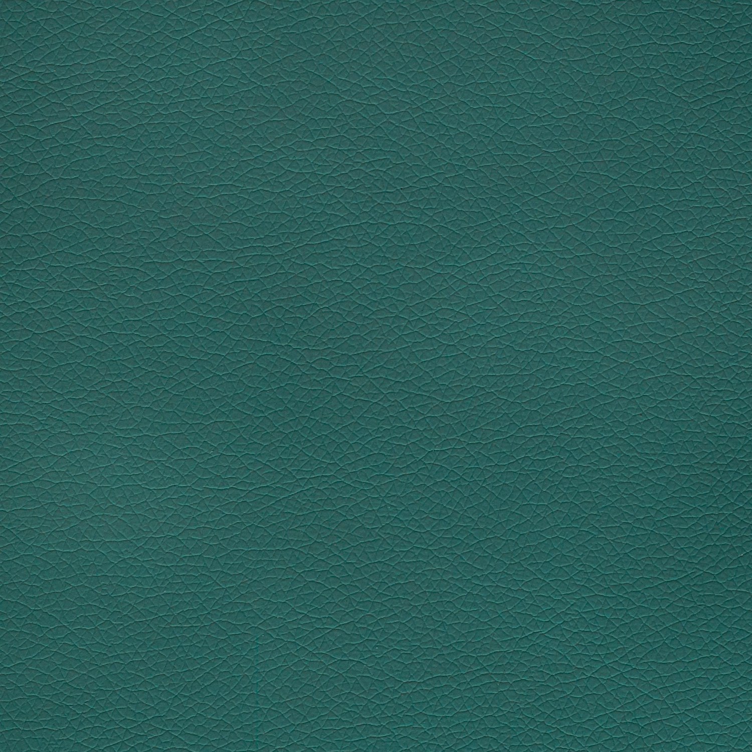 Canter Epu Teal Green
