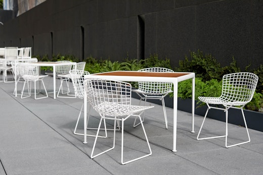 Bertoia Side Chair Richard Schultz 1966 Dining Barstool 1966 Dining Table outdoor community shared spaces