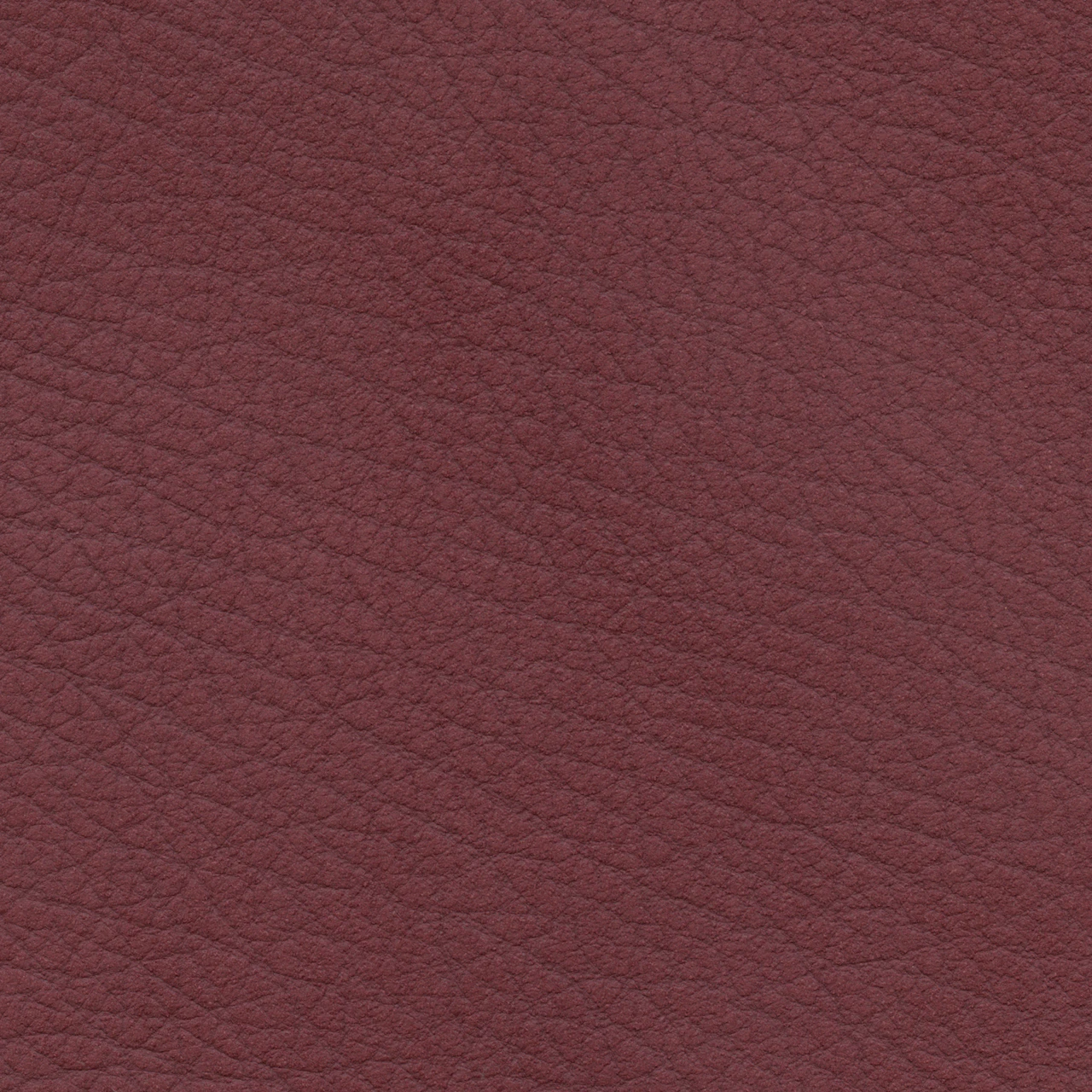 Cabernet