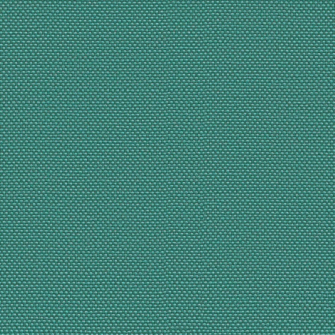 Sea Foam