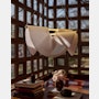 Drape Light