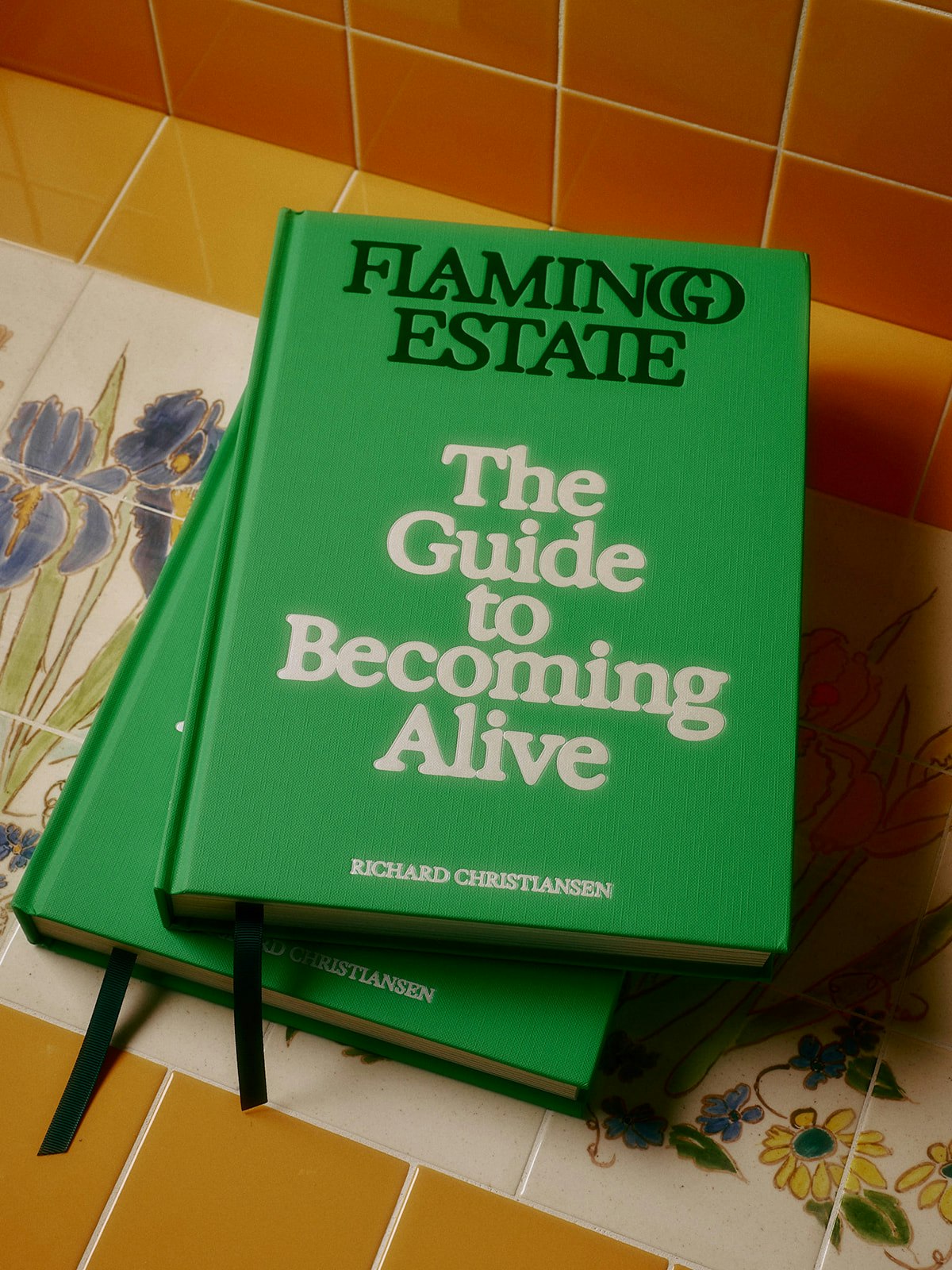The Guide to Becoming Alive