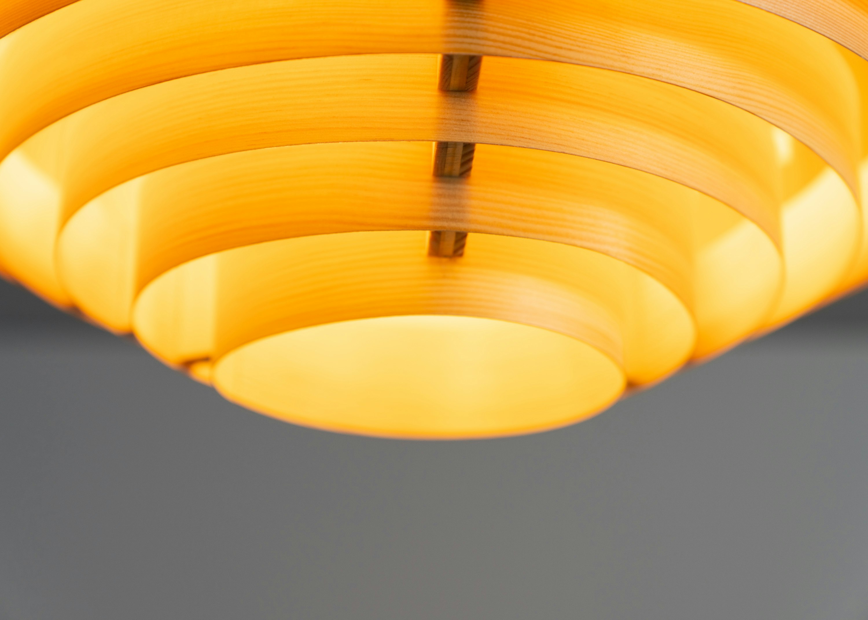 1005 Hans Ceiling Light