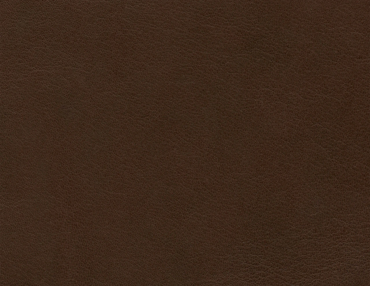 Allspice