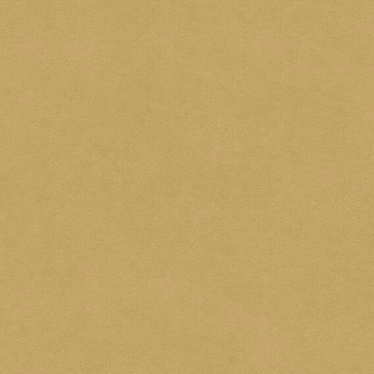 Sahara