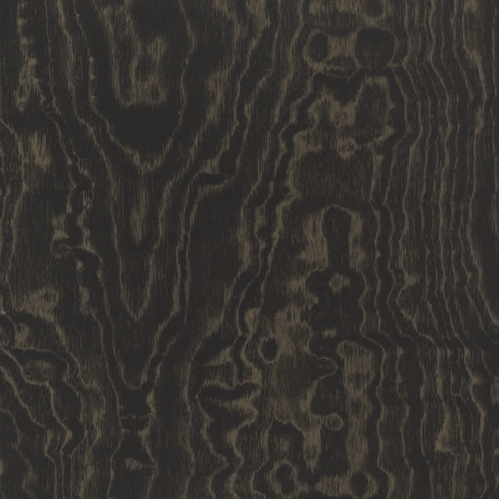 Topo Noir