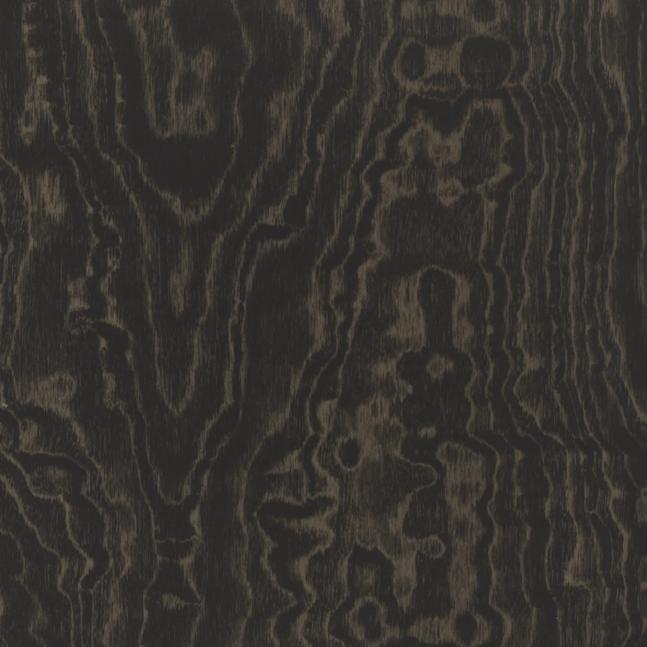 Topo Noir