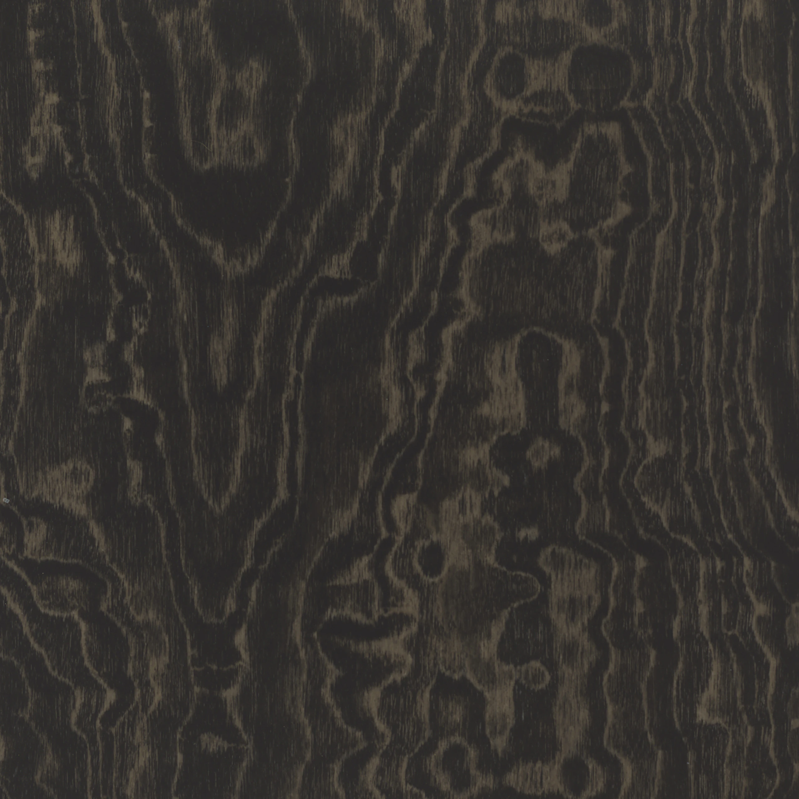Topo Noir