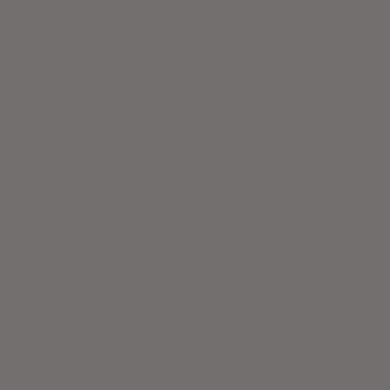 Matte Asteroid Grey