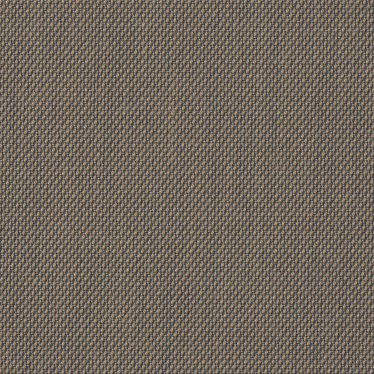 253